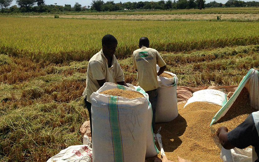 HARVEST